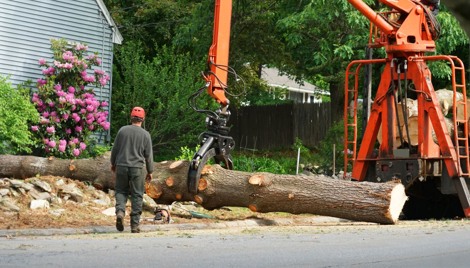 Local partner for Tree removal services in Las Cruces